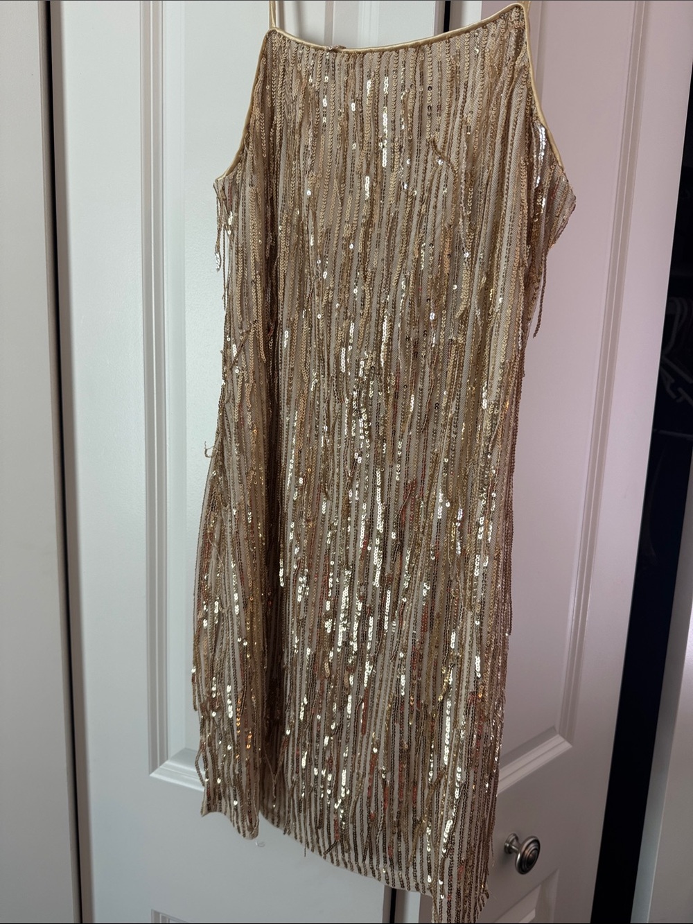 Trixxi Gold Sequin Fringe Mini Dress